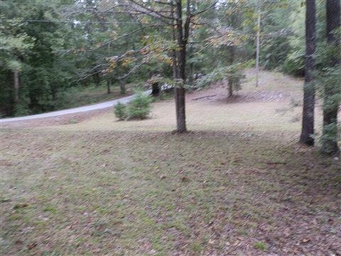 131 Helwals Road Iva, SC 29655 - Photo 8 of 28