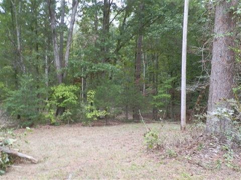 131 Helwals Road Iva, SC 29655 - Photo 9 of 28