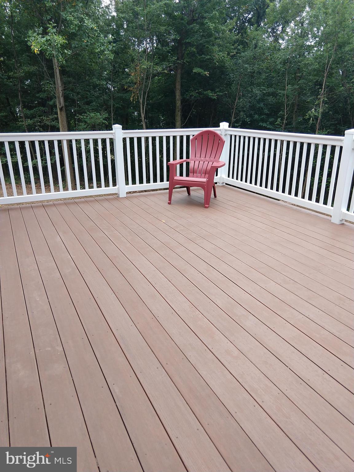 249 Ridge Avenue Ephrata, PA 17522 - Photo 23 of 30 Trex Deck