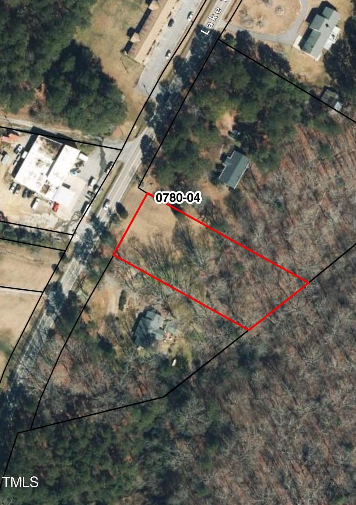 a close up of a tree