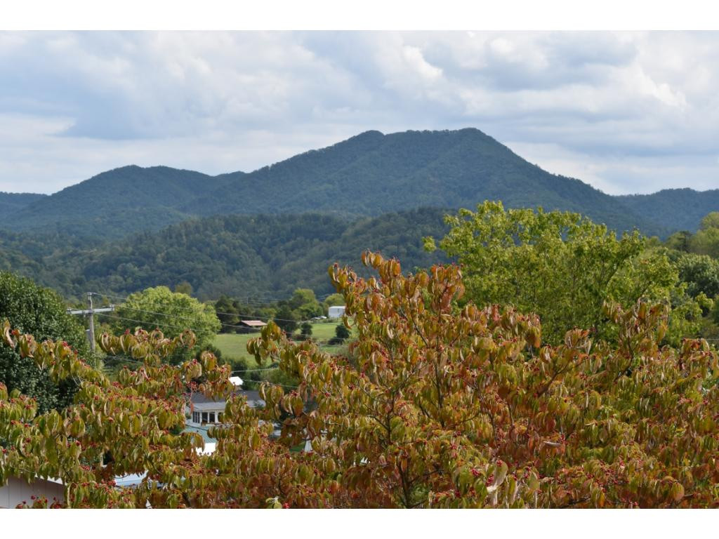 2530 Bob Little Road Elizabethton, TN 37643 - Photo 3 of 25 Views from the Front Porch