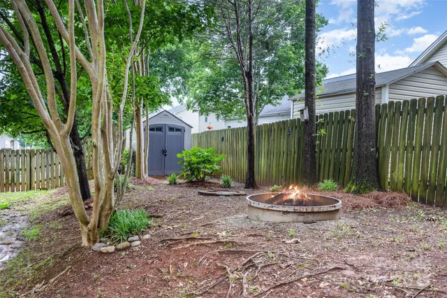 a view of a backyard with plants and large tree