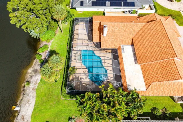 a view of a garden with plants