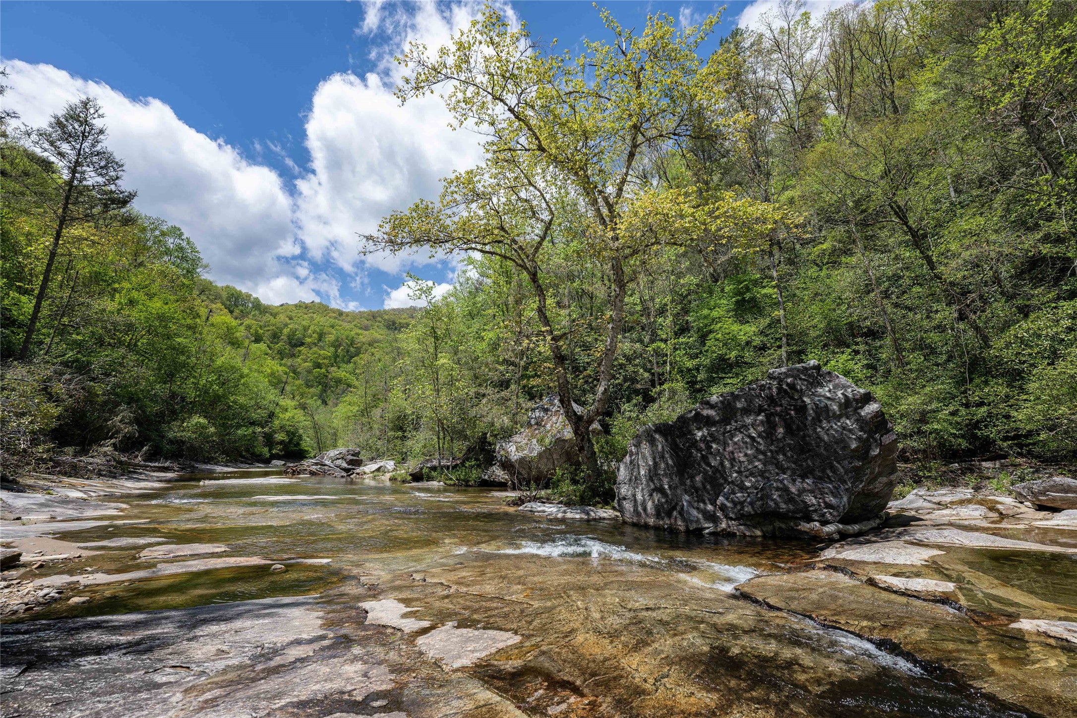 310 Mount Admire Road Cullowhee, NC 28723 - Photo 57 of 98 Gallery Image 57