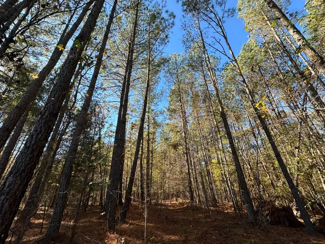 $99,000 | 1235 Edge Lane, Tignall, GA 30668