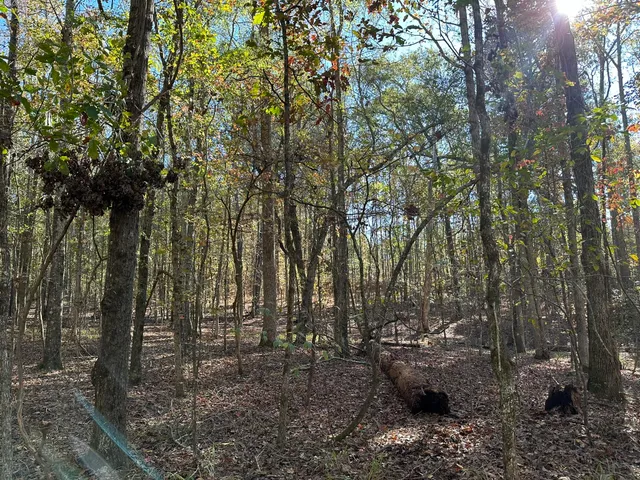 $99,000 | 1235 Edge Lane, Tignall, GA 30668