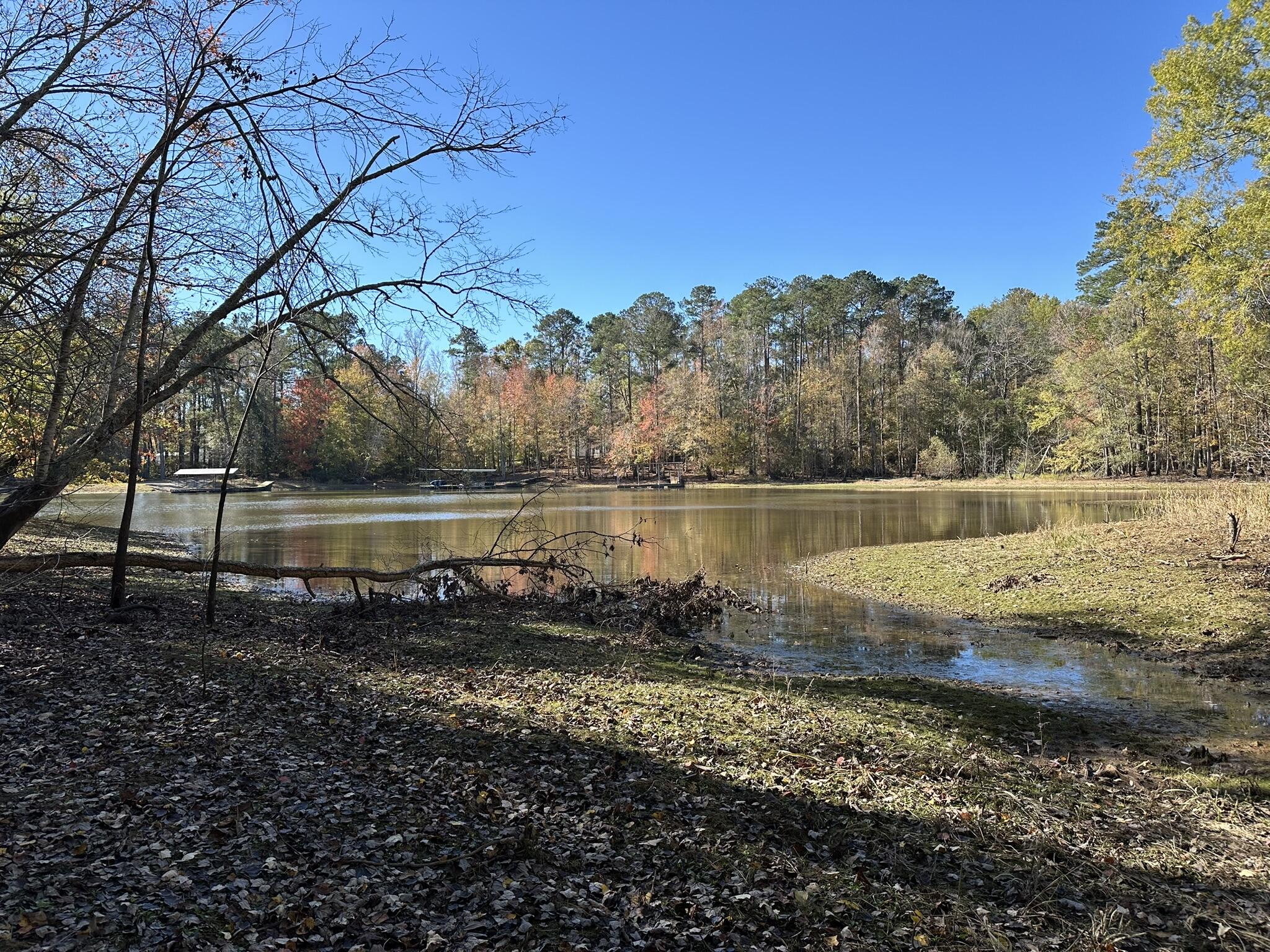 1235 Edge Lane Tignall, GA 30668 - Photo 6 of 14 potential dock site