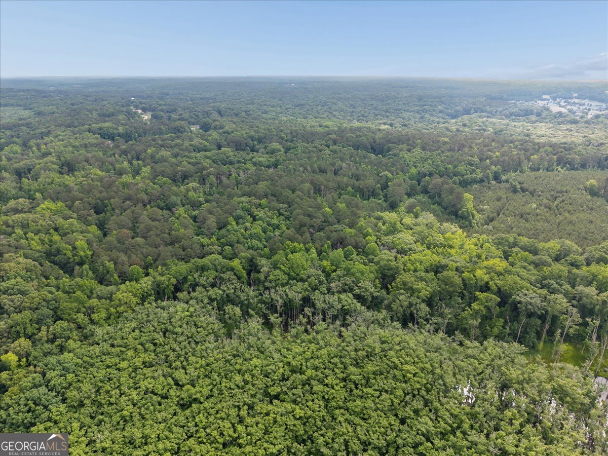 971 Cochran Road Covington, GA 30014 - Photo 38 of 39