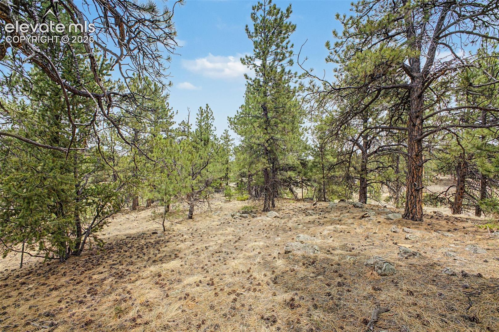 Ranger Station Road Florissant, CO 80816 - Photo 24 of 36 Gallery Image 24