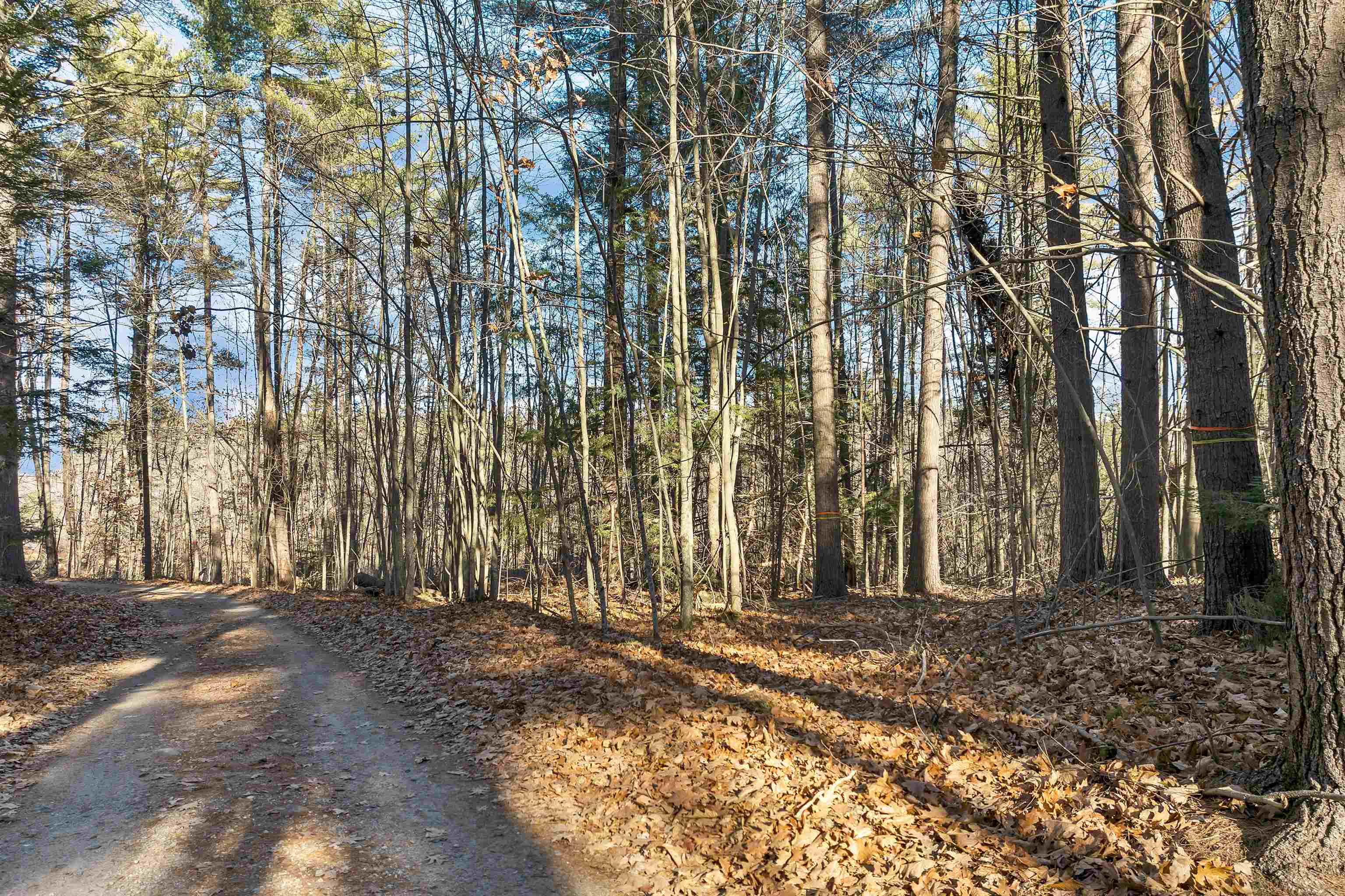 Camp Road, Unit 14 Wolfeboro, NH 03894 - Photo 16 of 20