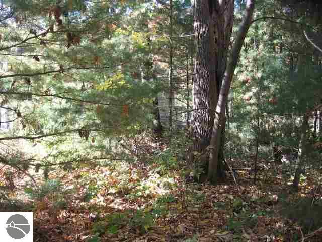 10606 Wildwood Road Interlochen, MI 49643 - Photo 22 of 25 1720999-21.JPG