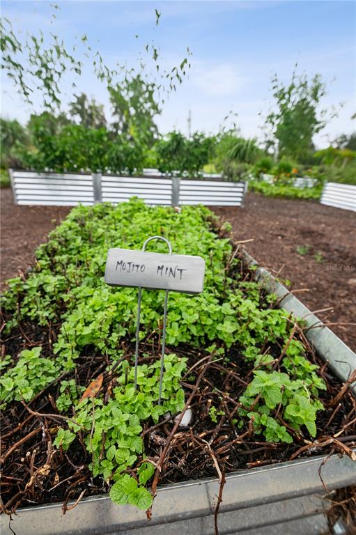 39 Southwest 124th Way Archer, FL 32618 - Photo 9 of 15 a view of a bunch of plants and trees
