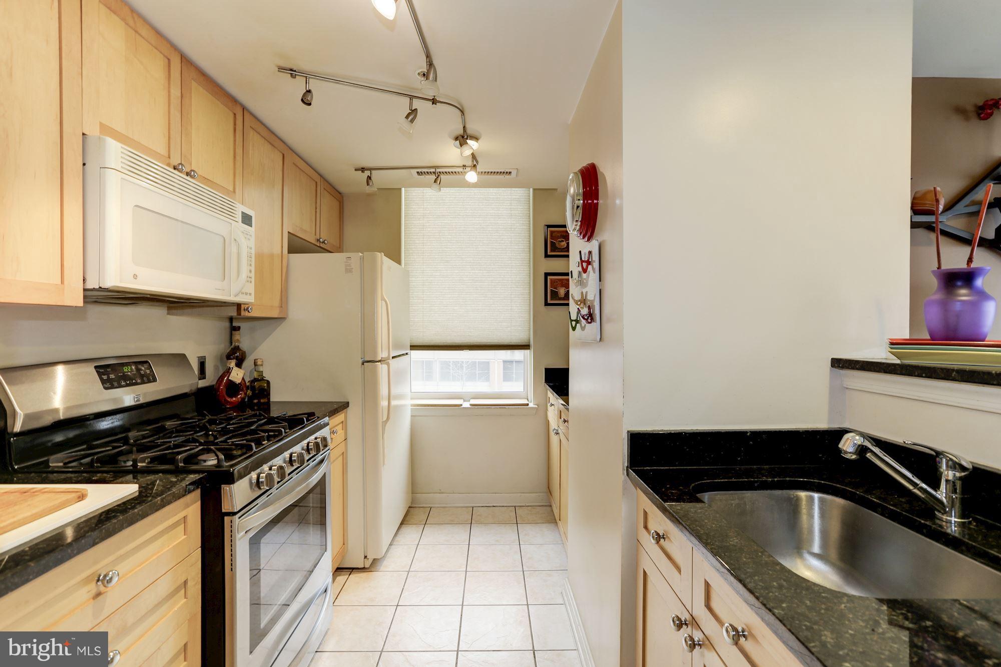 930 Wayne Avenue, Unit 309 Silver Spring, MD 20910 - Photo 13 of 30 Kitchen