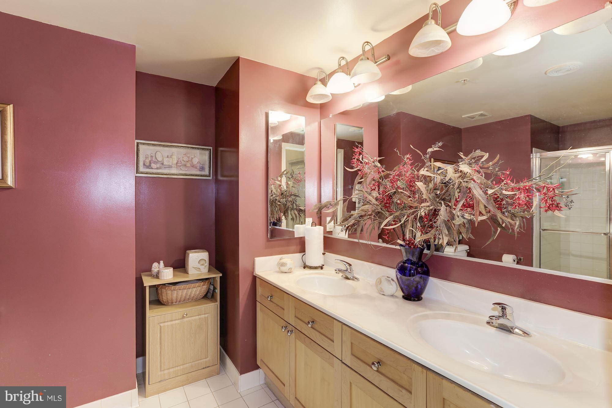 930 Wayne Avenue, Unit 309 Silver Spring, MD 20910 - Photo 19 of 30 Bath (Master)