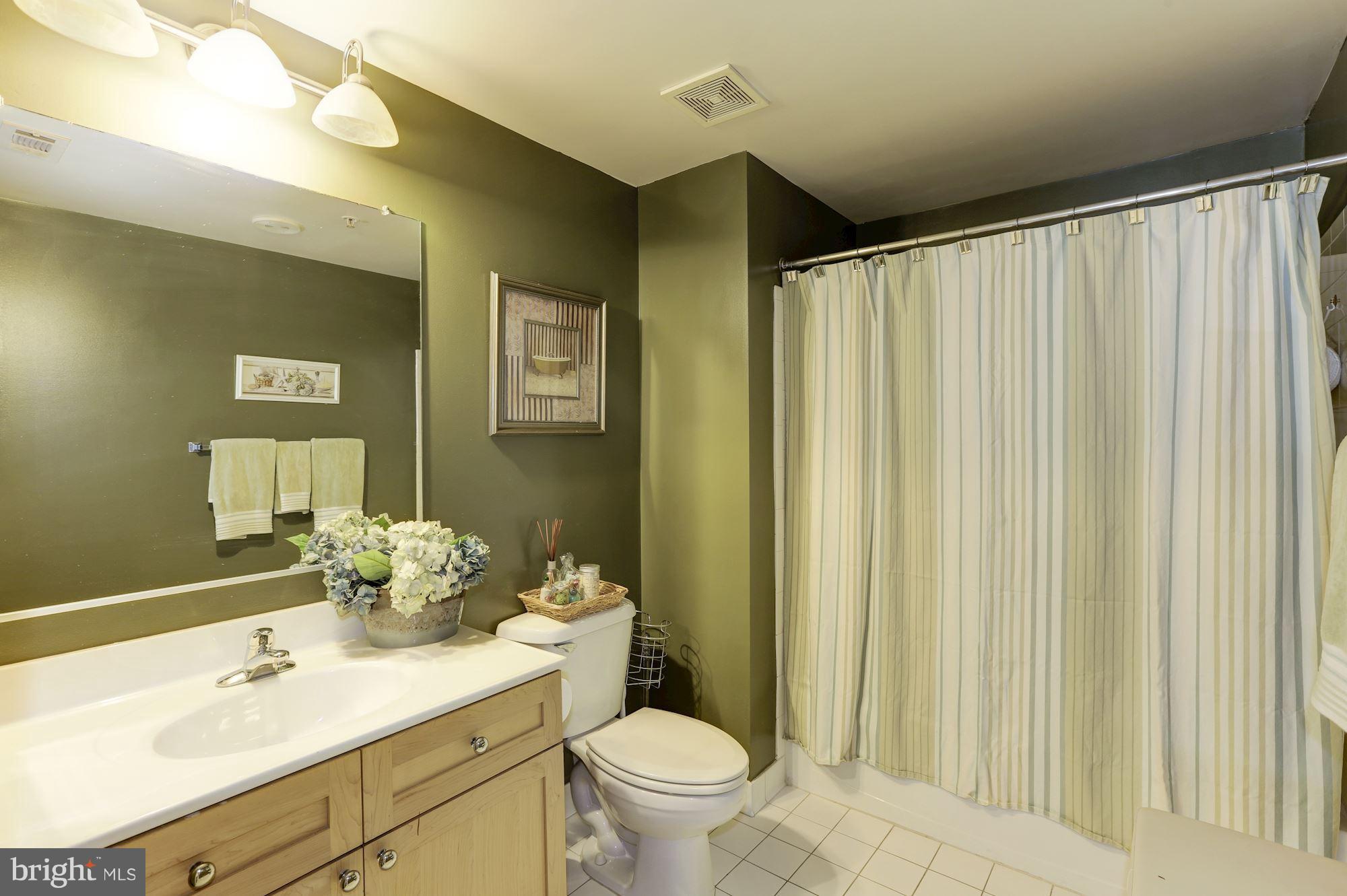 930 Wayne Avenue, Unit 309 Silver Spring, MD 20910 - Photo 24 of 30 Bath