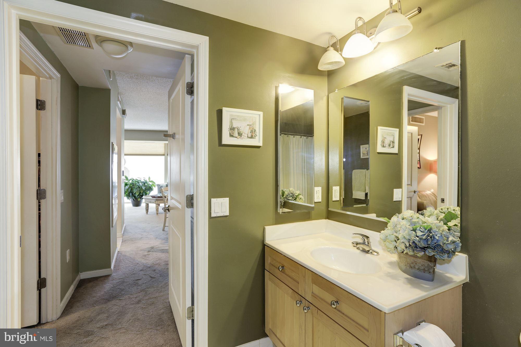 930 Wayne Avenue, Unit 309 Silver Spring, MD 20910 - Photo 25 of 30 Bath