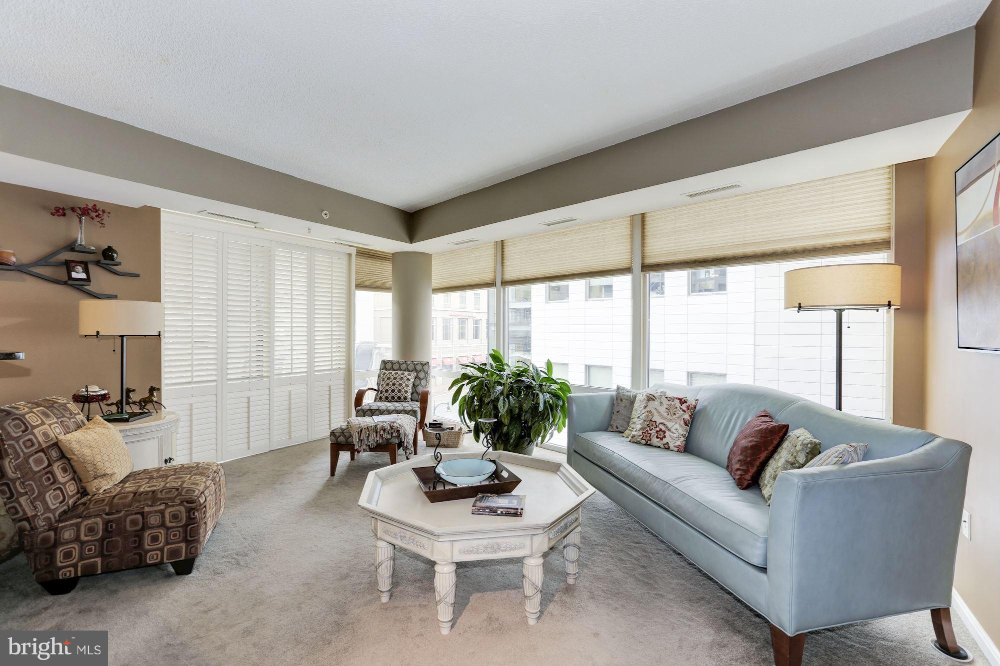 930 Wayne Avenue, Unit 309 Silver Spring, MD 20910 - Photo 7 of 30 Living Room