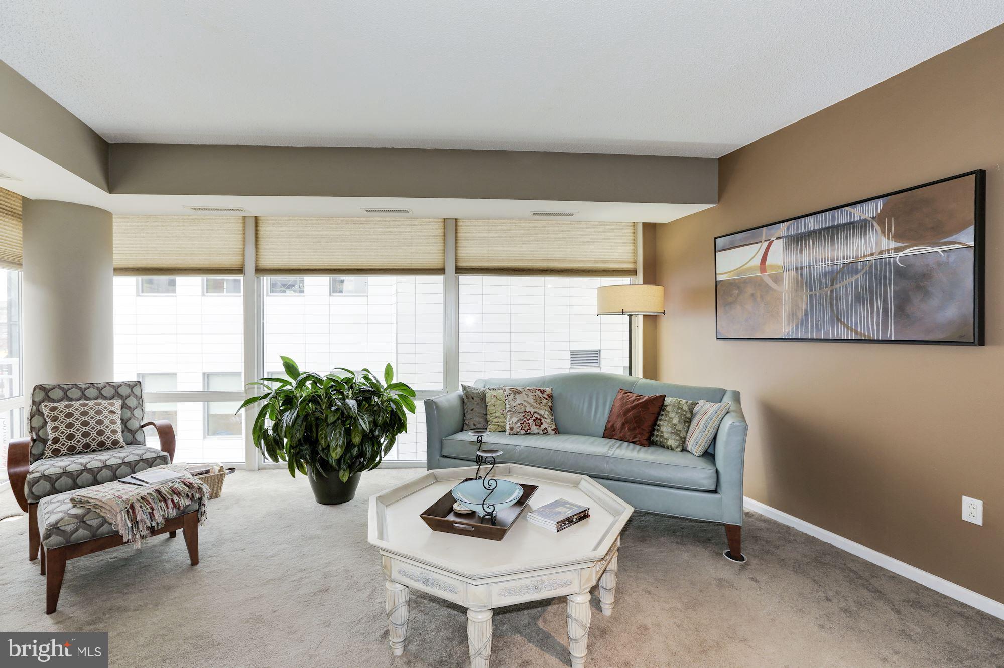 930 Wayne Avenue, Unit 309 Silver Spring, MD 20910 - Photo 8 of 30 Living Room