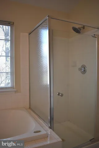 a bathroom with a bathtub and a shower
