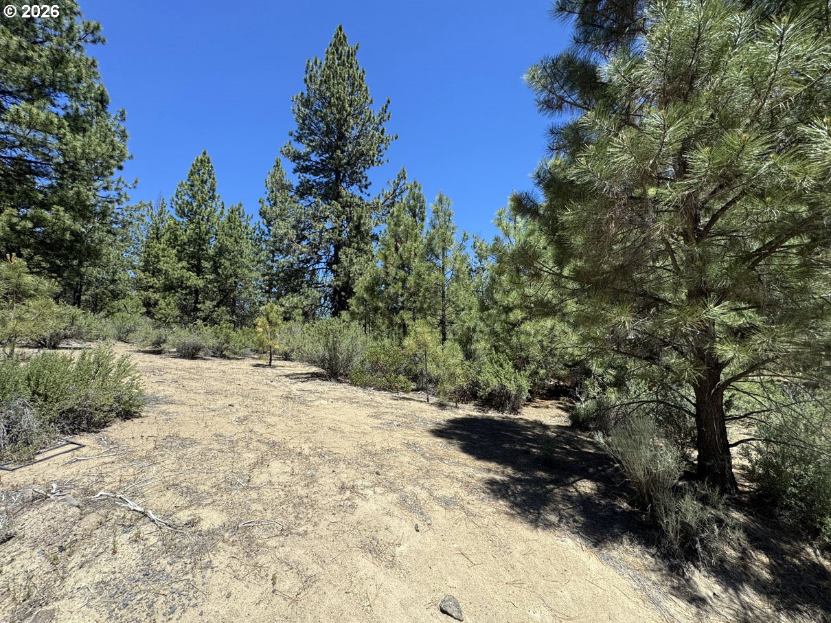 Friendship Drive, Unit 15 Chiloquin, OR 97624 - Photo 9 of 41