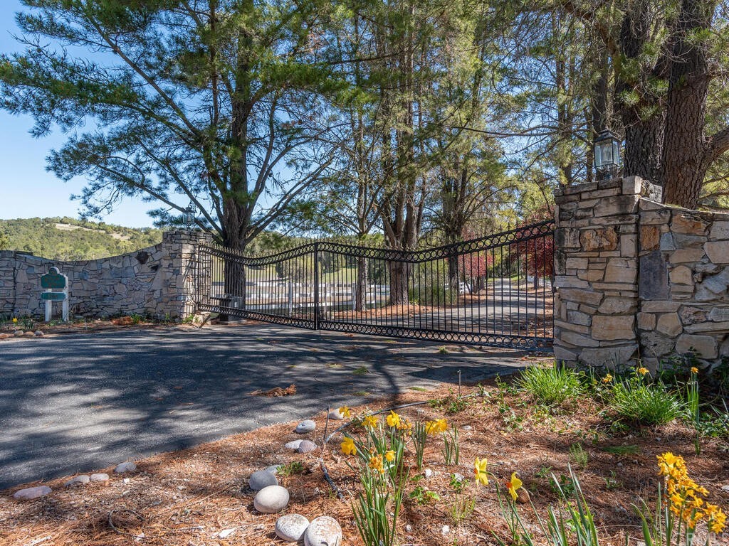 a view of a yard with plants and trees