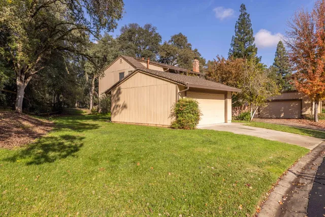 a view of road with large trees