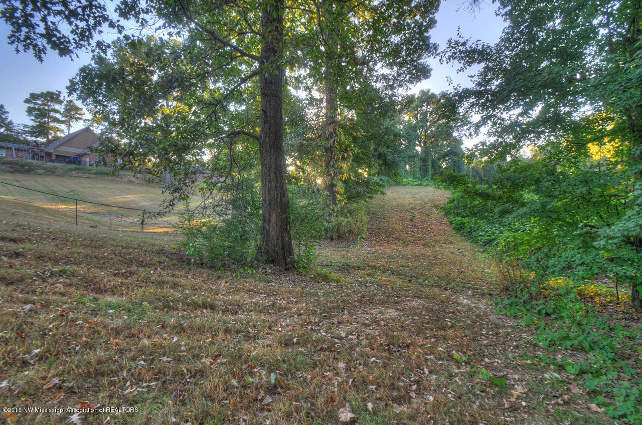 0 High Road Hernando, MS 38632 - Photo 8 of 9 8