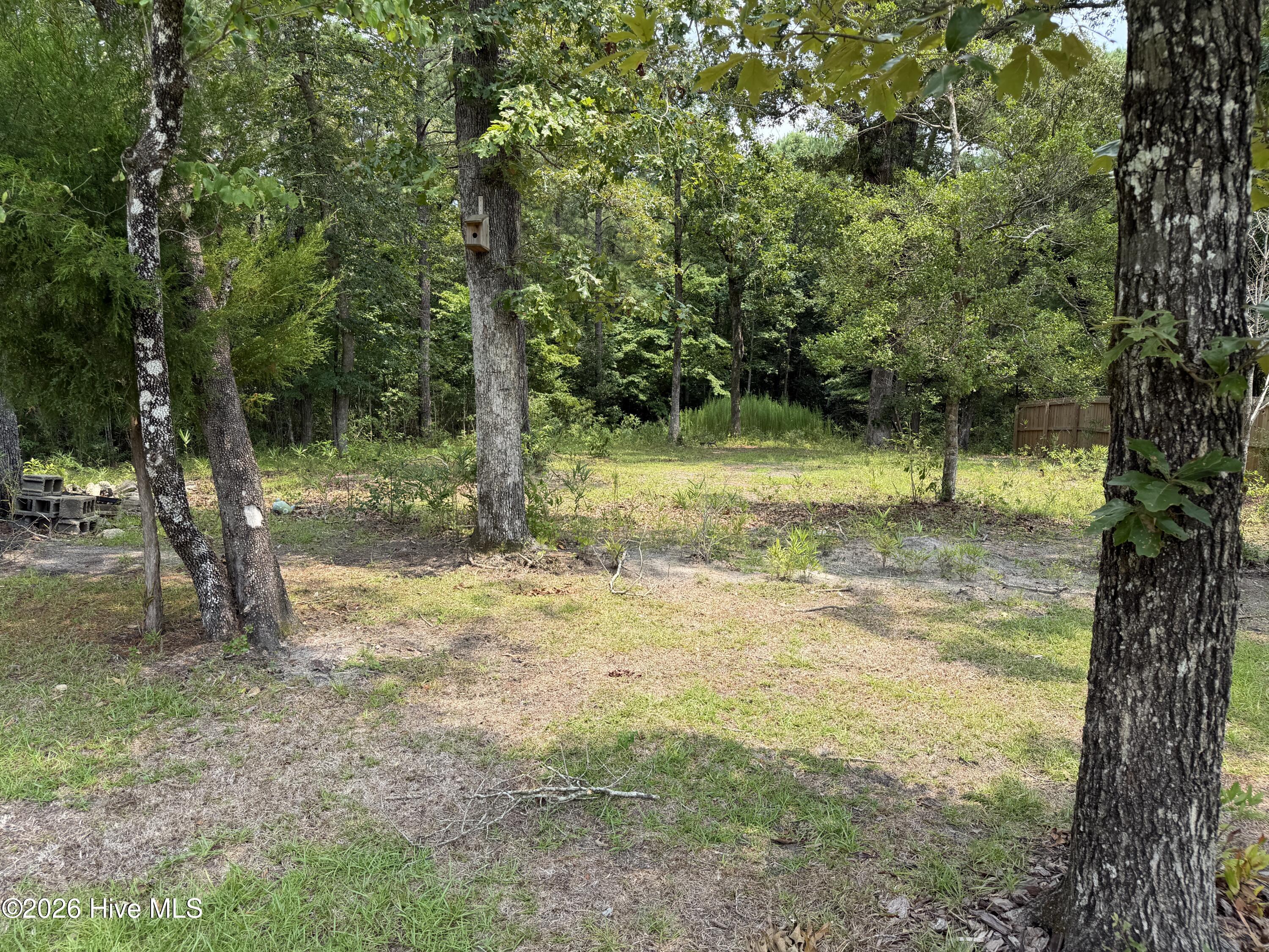 315 Neuse Drive Holly Ridge, NC 28445 - Photo 55 of 55 Gallery Image 55