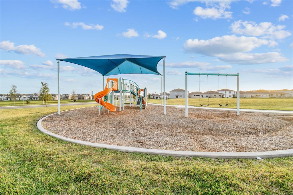 32519 Welling Blade Loop Wesley Chapel, FL 33545 - Photo 82 of 87