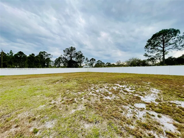 a view of a backyard with a plants and trees