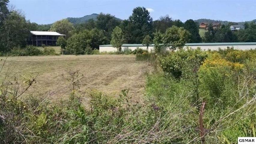 12 Line Springs Road Sevierville, TN 37862 - Photo 6 of 12