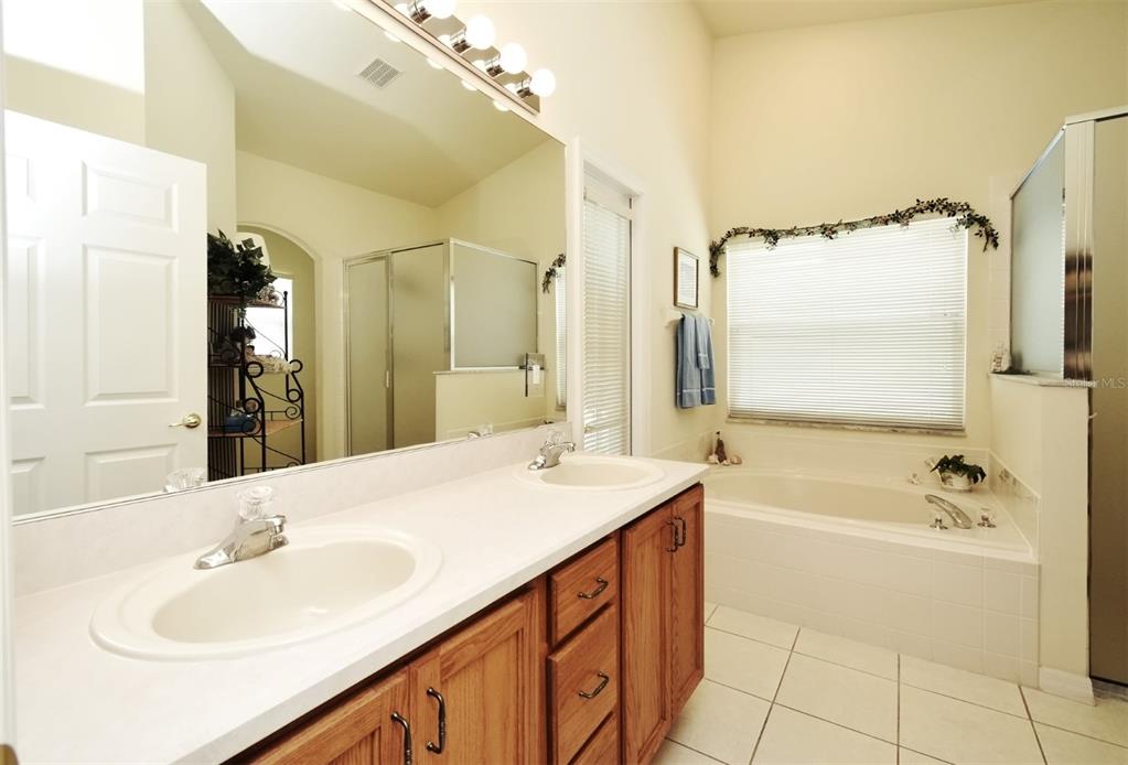2591 Oneida Loop Kissimmee, FL 34747 - Photo 32 of 48 a bathroom with a tub sink and mirror