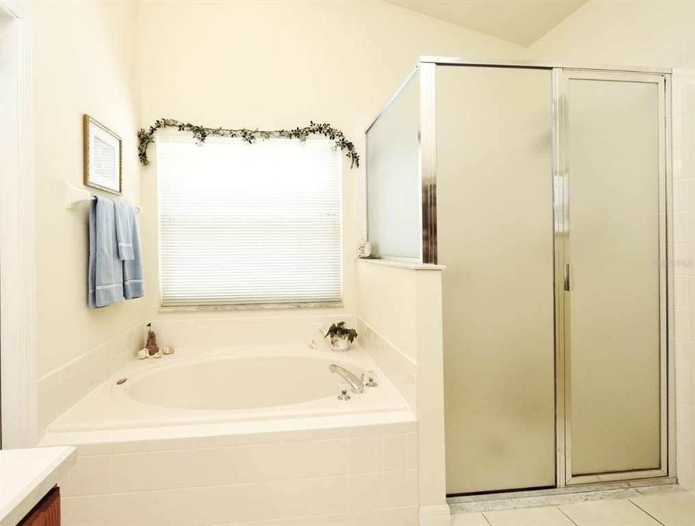 2591 Oneida Loop Kissimmee, FL 34747 - Photo 33 of 48 a bathroom with a shower and a sink