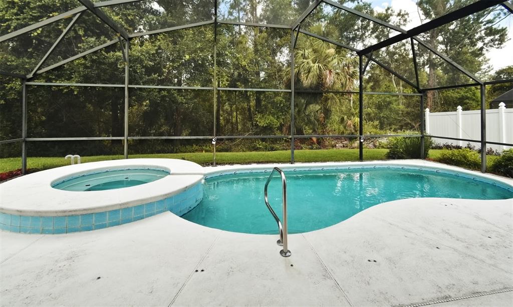 2591 Oneida Loop Kissimmee, FL 34747 - Photo 40 of 48 a swimming pool with some trees in the background