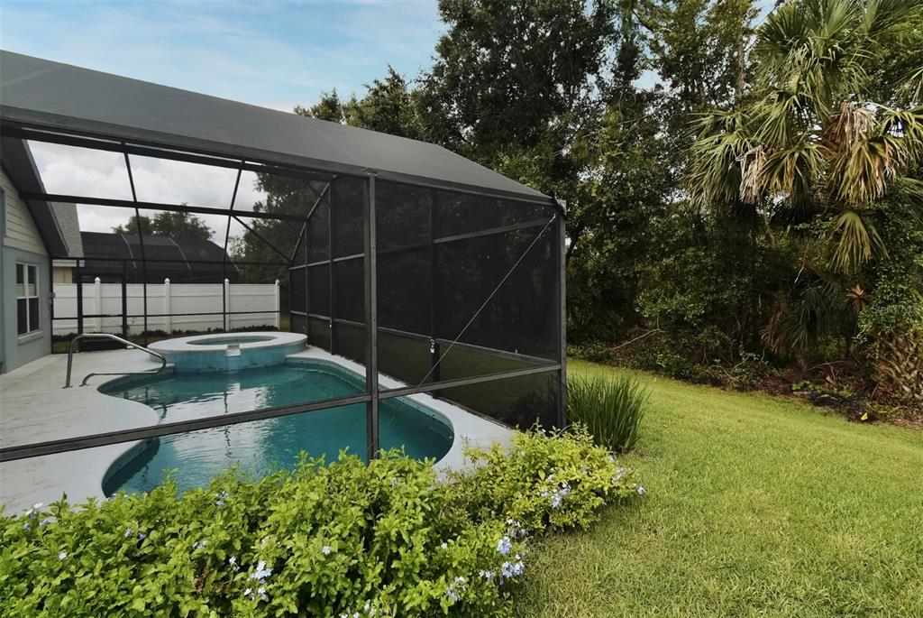 2591 Oneida Loop Kissimmee, FL 34747 - Photo 42 of 48 a view of a backyard