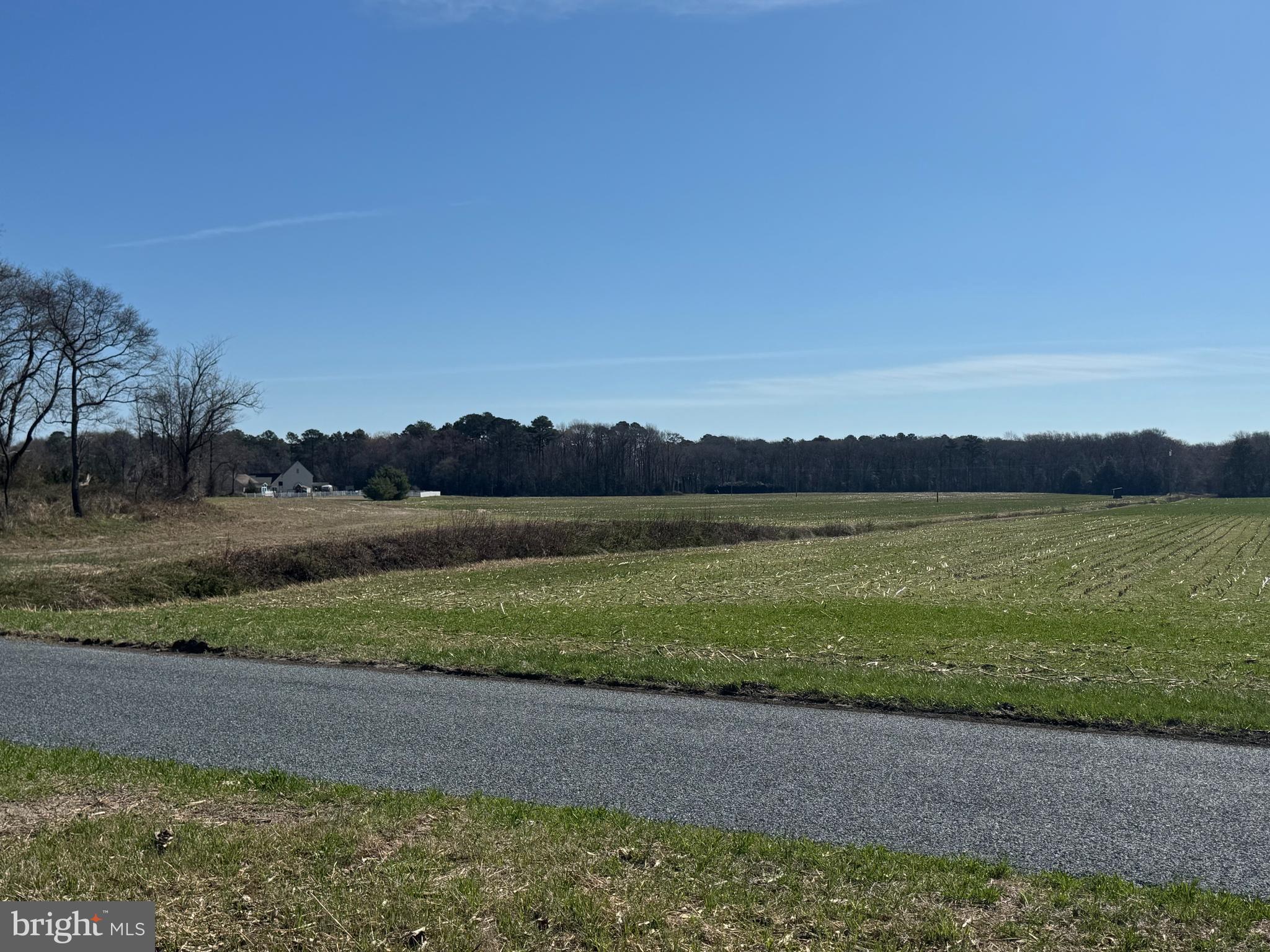 0 East Line Road Parsonsburg, MD 21849 - Photo 3 of 8 a view of a lake with a big yard