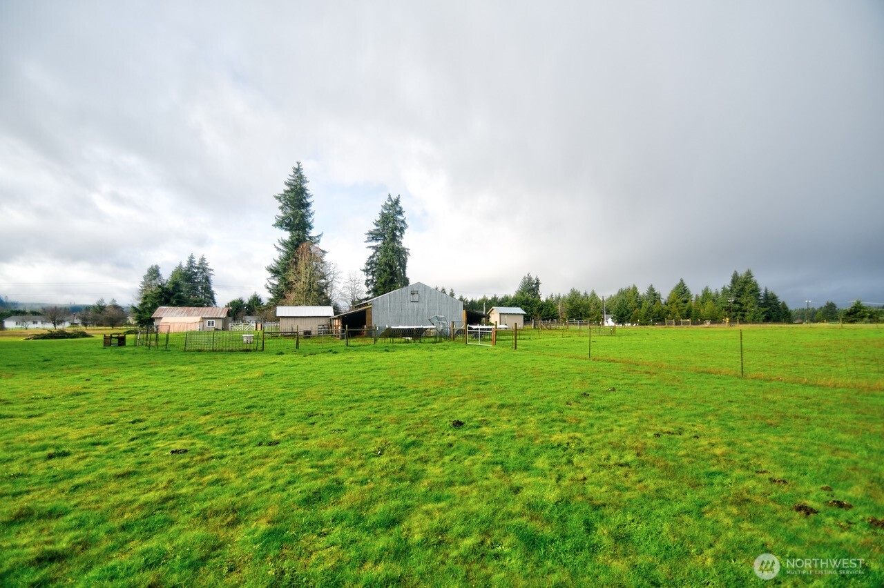 19944 Carper Road Southwest Rochester, WA 98579 - Photo 24 of 27 a view of a grassy field with trees