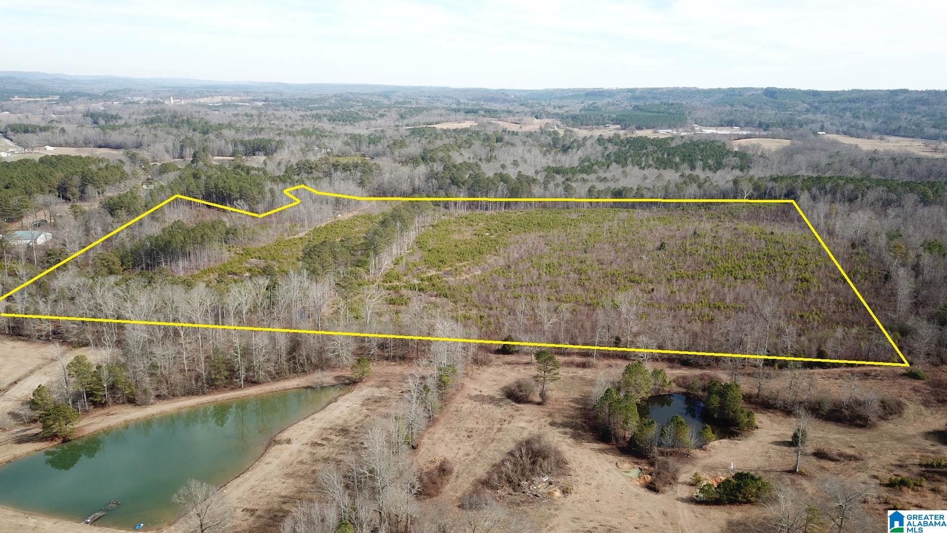 0 Altoona Cutoff Road, Unit 47 5 Oneonta, AL 35121 - Photo 1 of 36