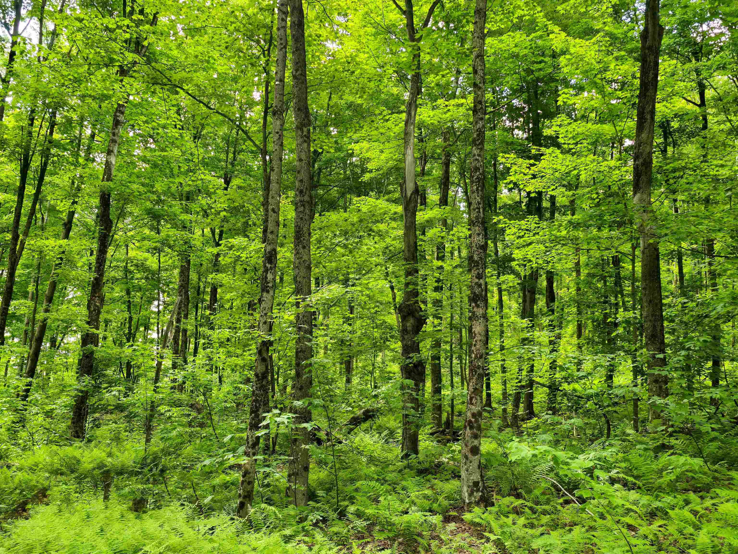 433 Wightman Hill Road Richford, VT 05476 - Photo 24 of 44