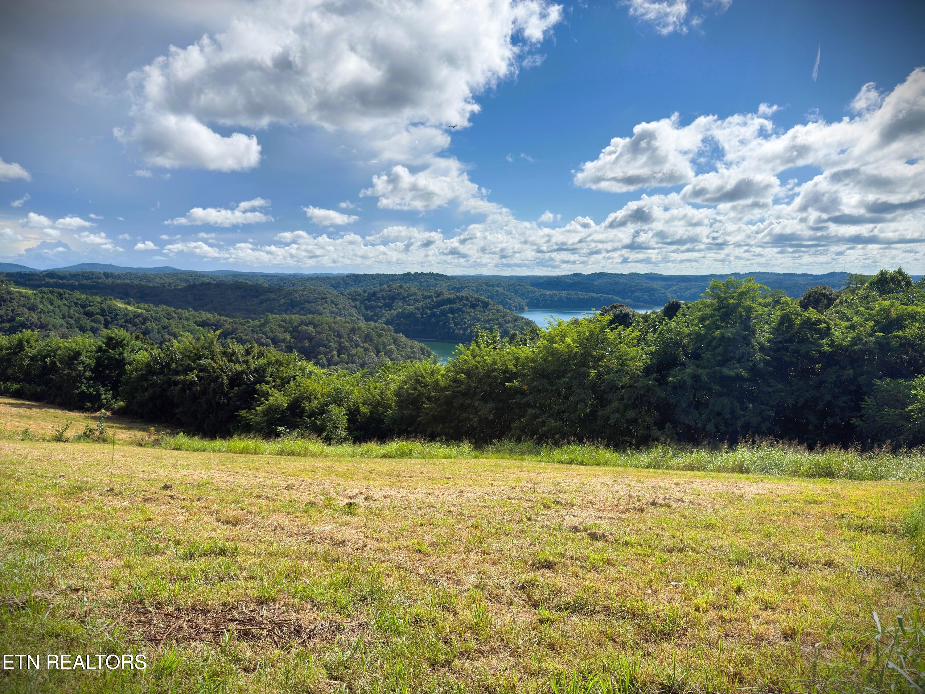30 B Bass Road Celina, TN 38551 - Photo 8 of 23 IMG_4445