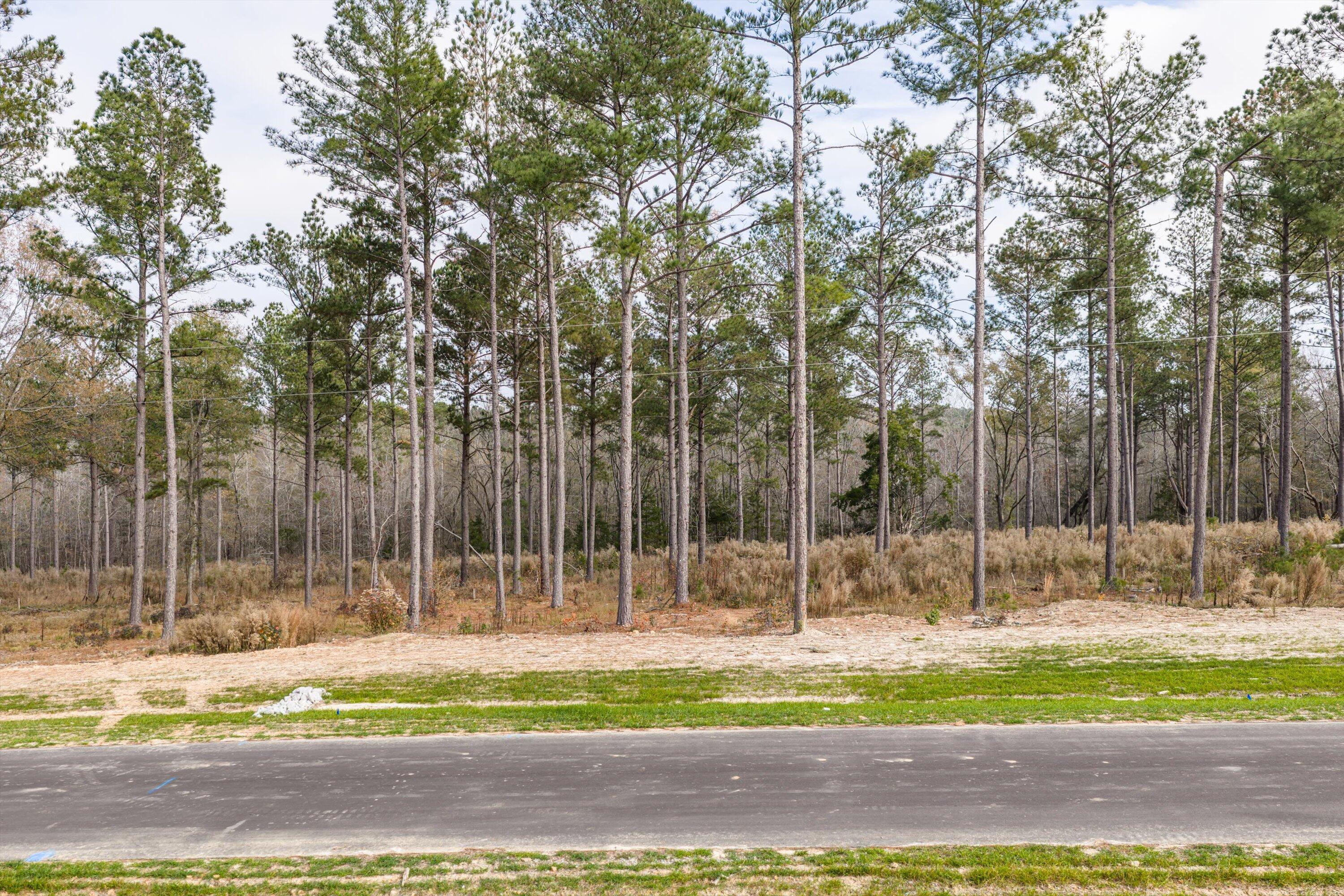 159 Beagle Chase Drive Appling, GA 30802 - Photo 4 of 7 08-Lot7