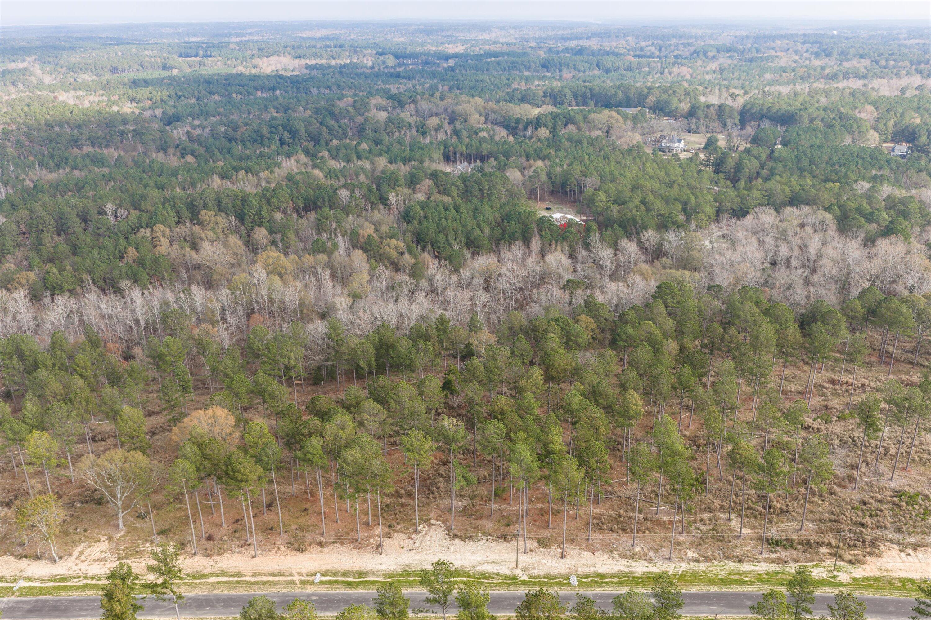 159 Beagle Chase Drive Appling, GA 30802 - Photo 5 of 7 07-Lot7_3