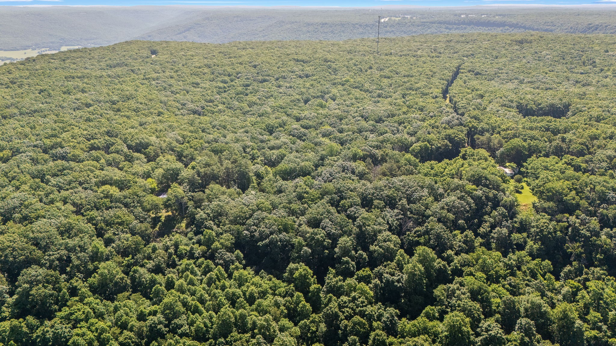 0 Claiborne View Road Sewanee, TN 37375 - Photo 8 of 23