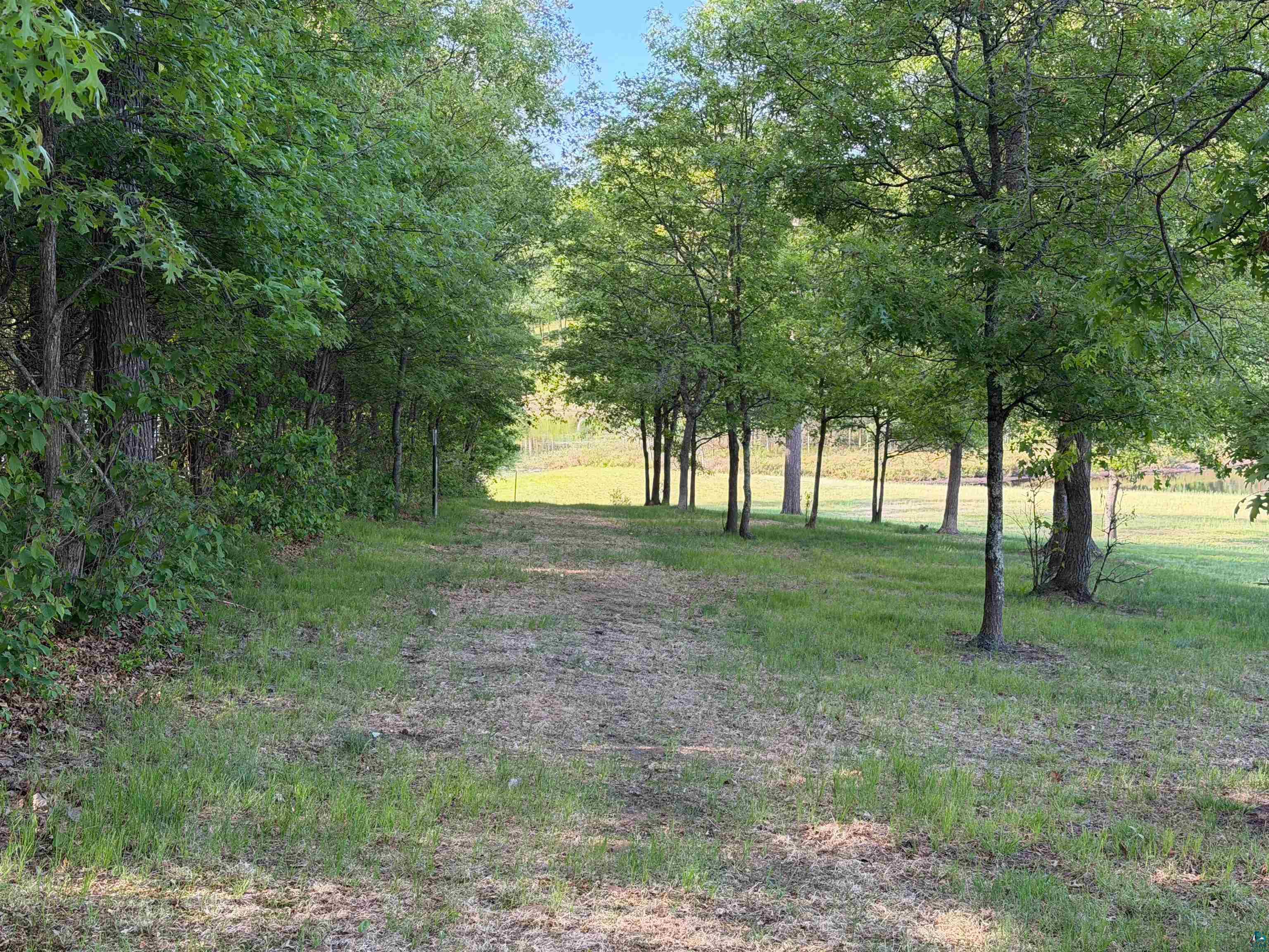 11702 East Mail Road Gordon, WI 54838 - Photo 21 of 60 Wooded property featuring mature trees, a cleared path, and open grassy areas