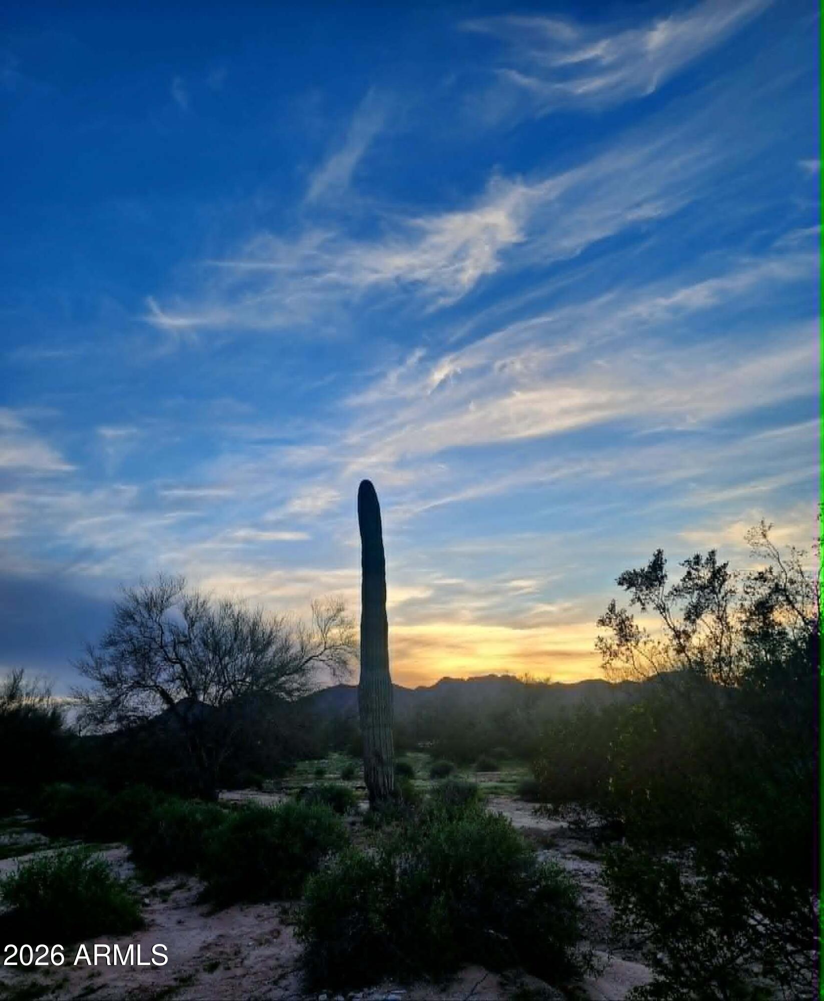 1523 South Warren Road Maricopa, AZ 85139 - Photo 4 of 26 a view of a yard