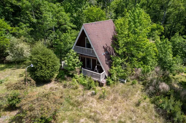 a view of a forest with trees in the background