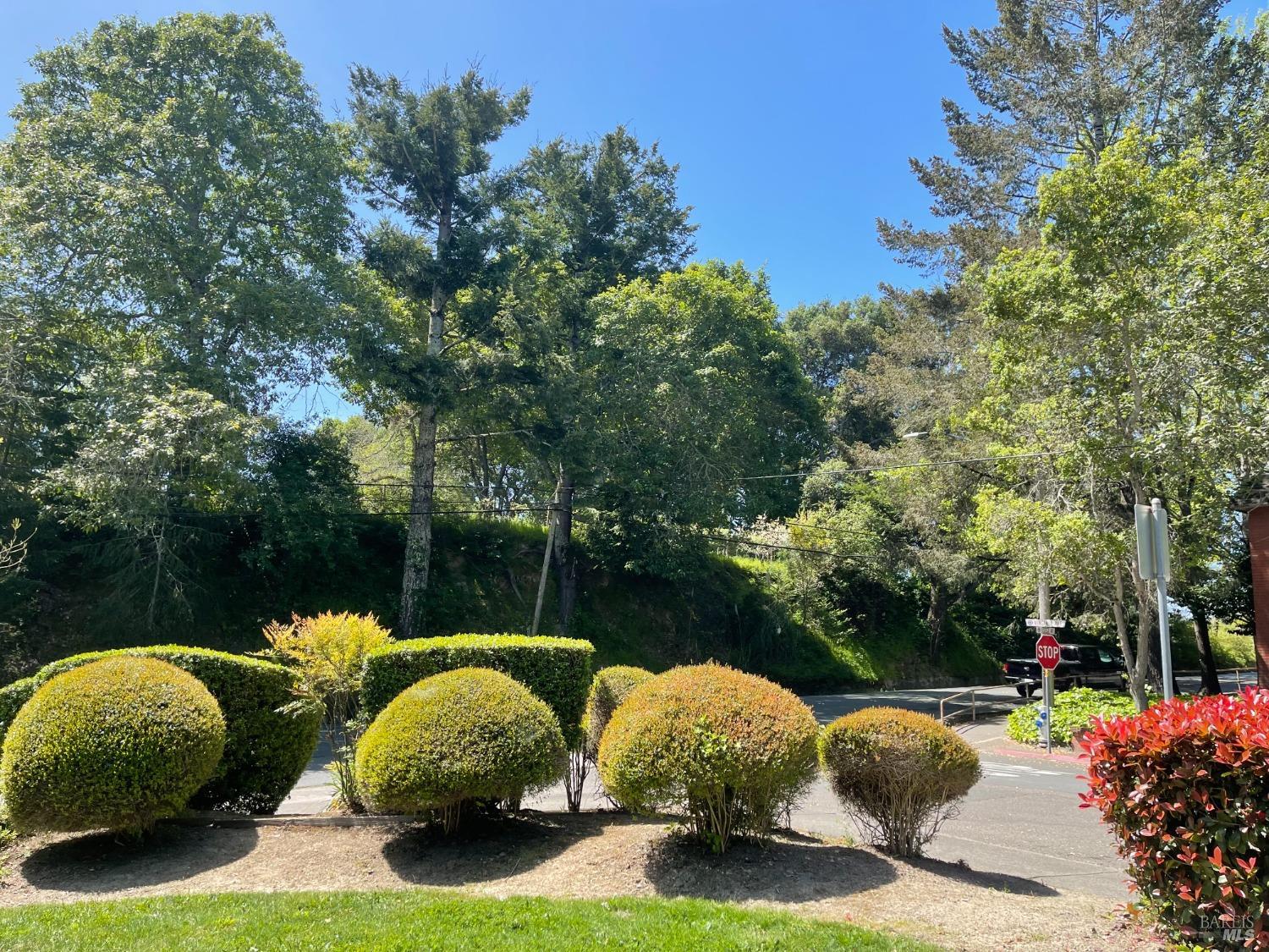 a view of a table and chairs in a backyard