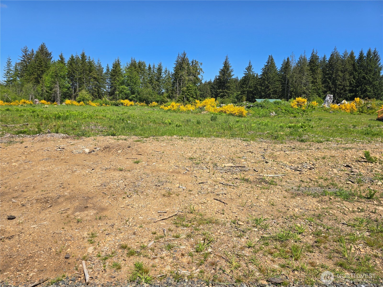 75 Newton Rd Forks Forks, WA 98331 - Photo 2 of 4