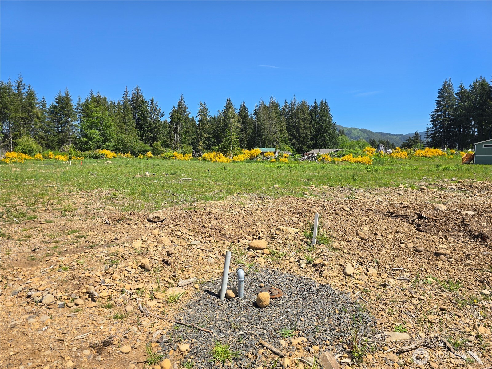 75 Newton Rd Forks Forks, WA 98331 - Photo 3 of 4