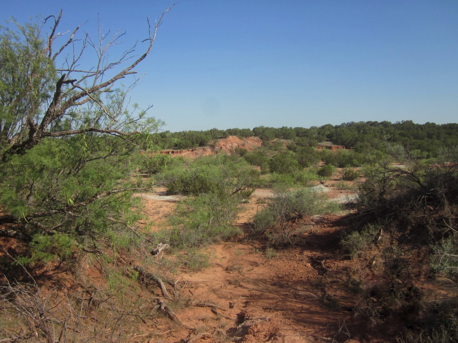 Nka Buckle L Road Childress, TX 79201 - Photo 11 of 12 Scenic view of the rolling terrain, native mesquite brush, and distinct red clay soil characteristic of the region.